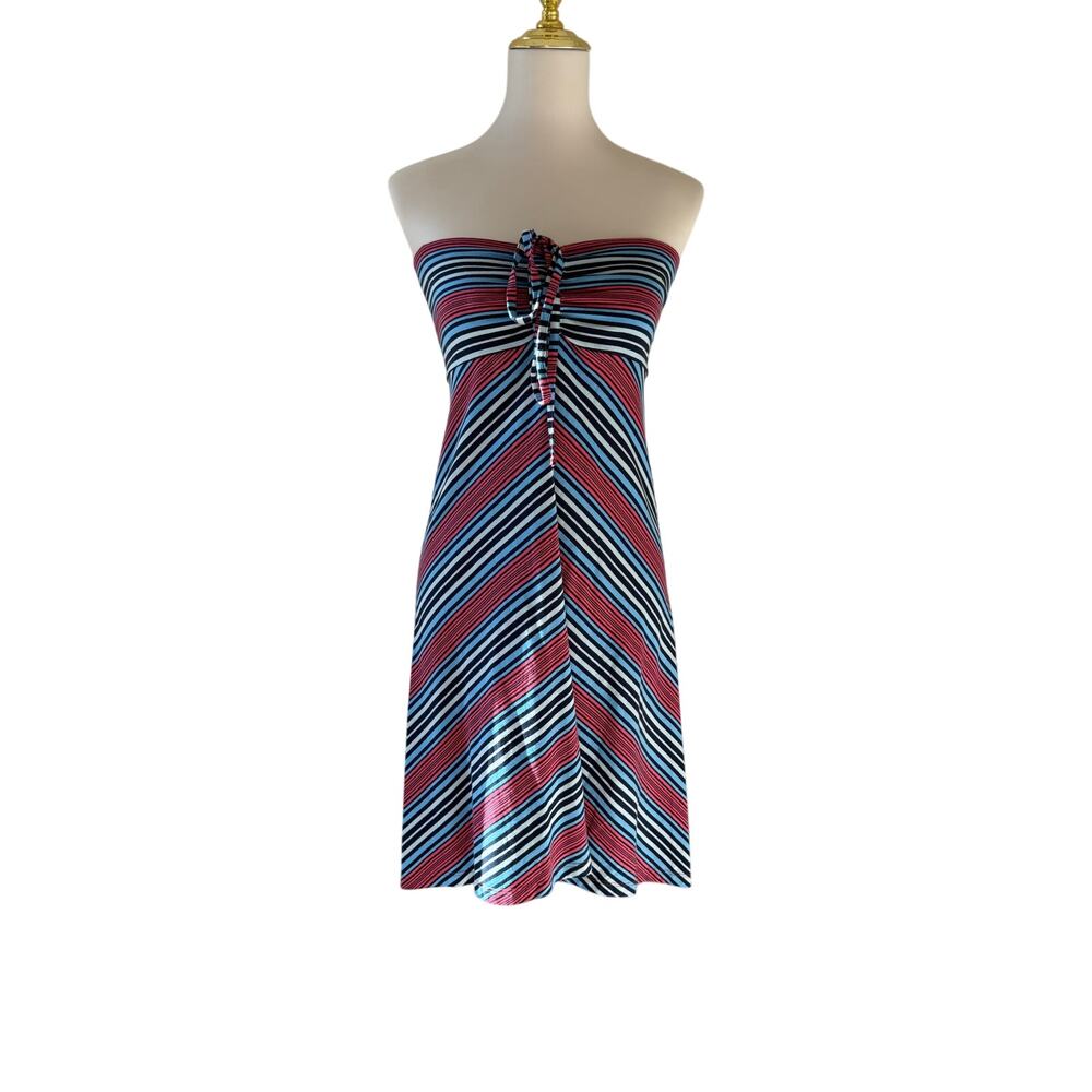 Patagonia Women's Organic Cotton Blue Red Striped Strapless Dress Chevron XS